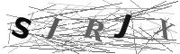 Please refresh your browser to see this image.